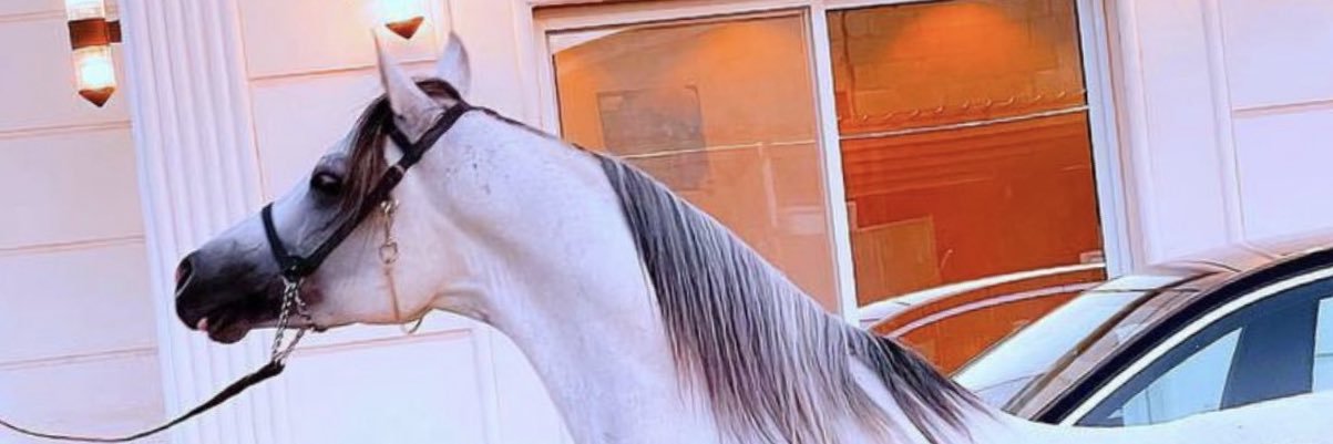 علي بن محمد الصويان banner