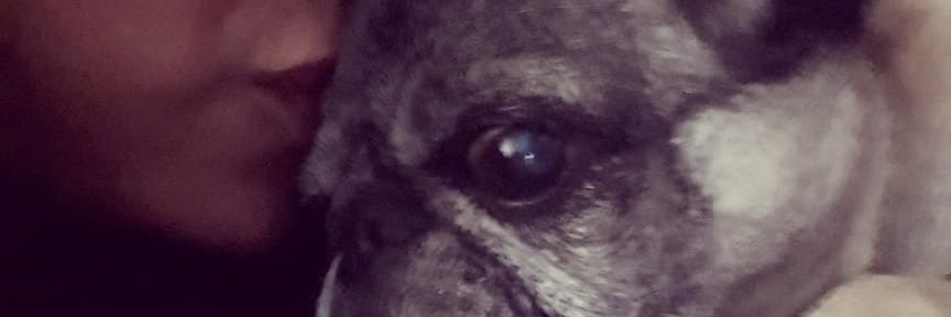 annasiller's profile banner image