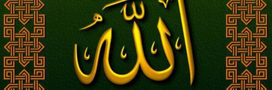 ali67753's profile banner image