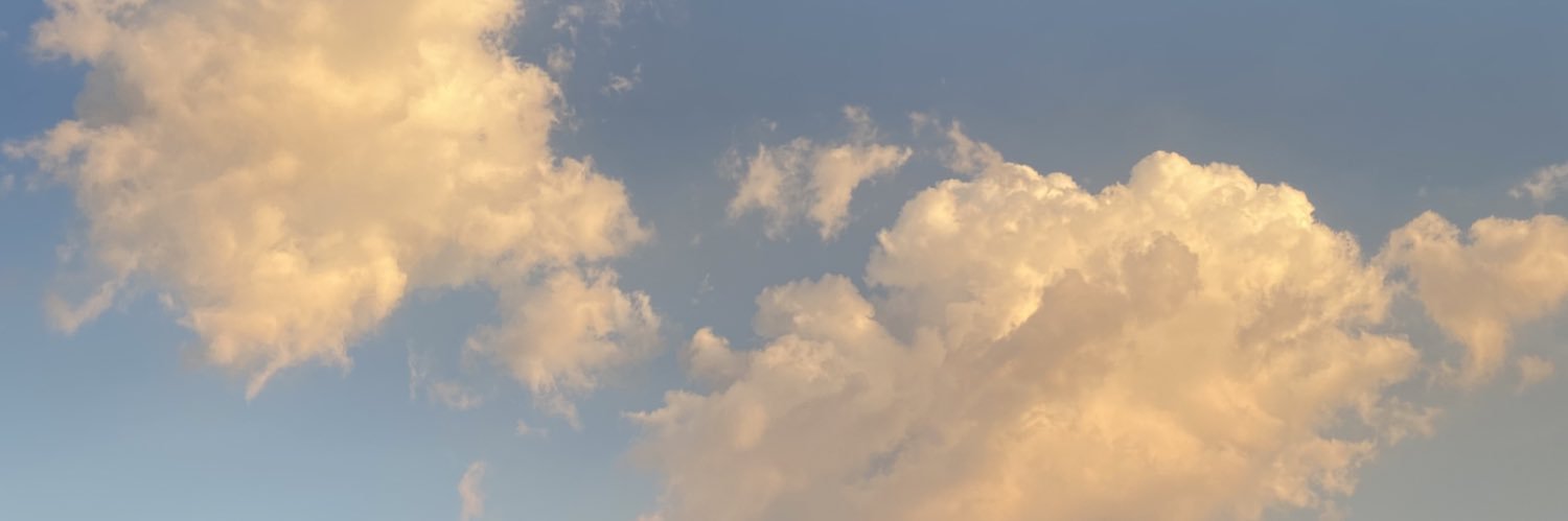 songxey's profile banner image