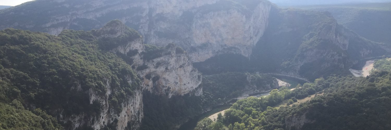 Petit poiss⭕n banner