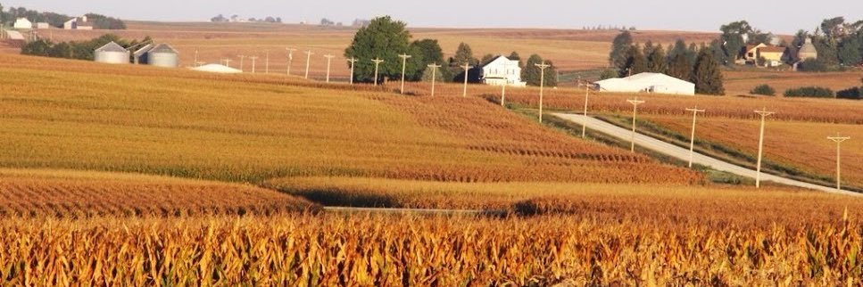 Steve Kranz banner