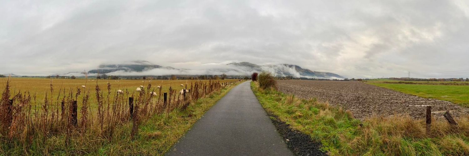 Alison Peacock banner