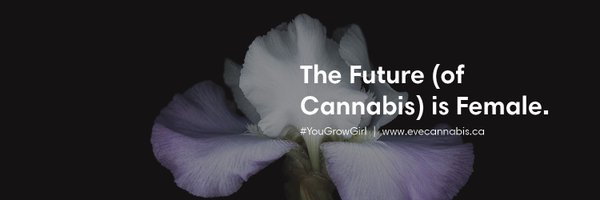 Eve Cannabis Profile Banner
