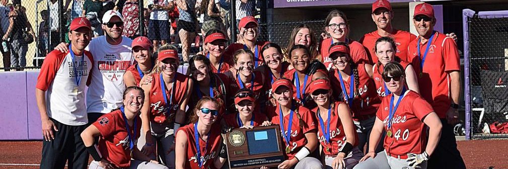 David Berthiaume banner