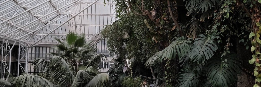 Tikhon Belousko banner