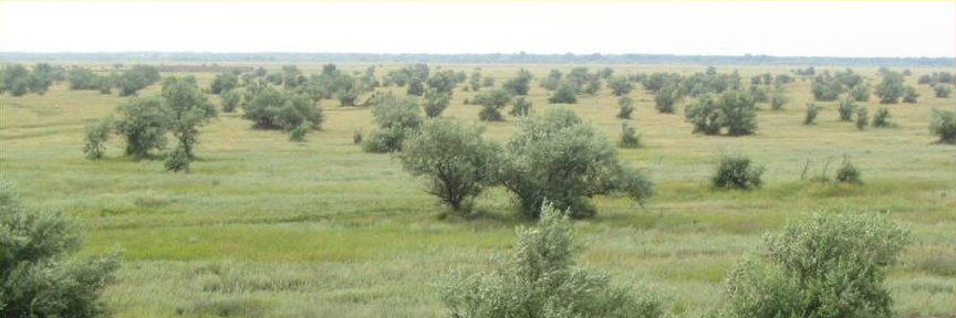 alexejpetrov3's profile banner image