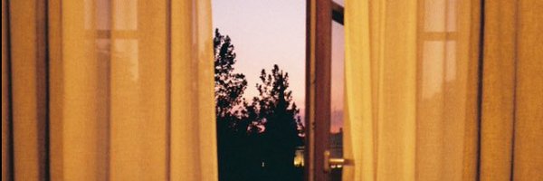 shashamin Profile Banner