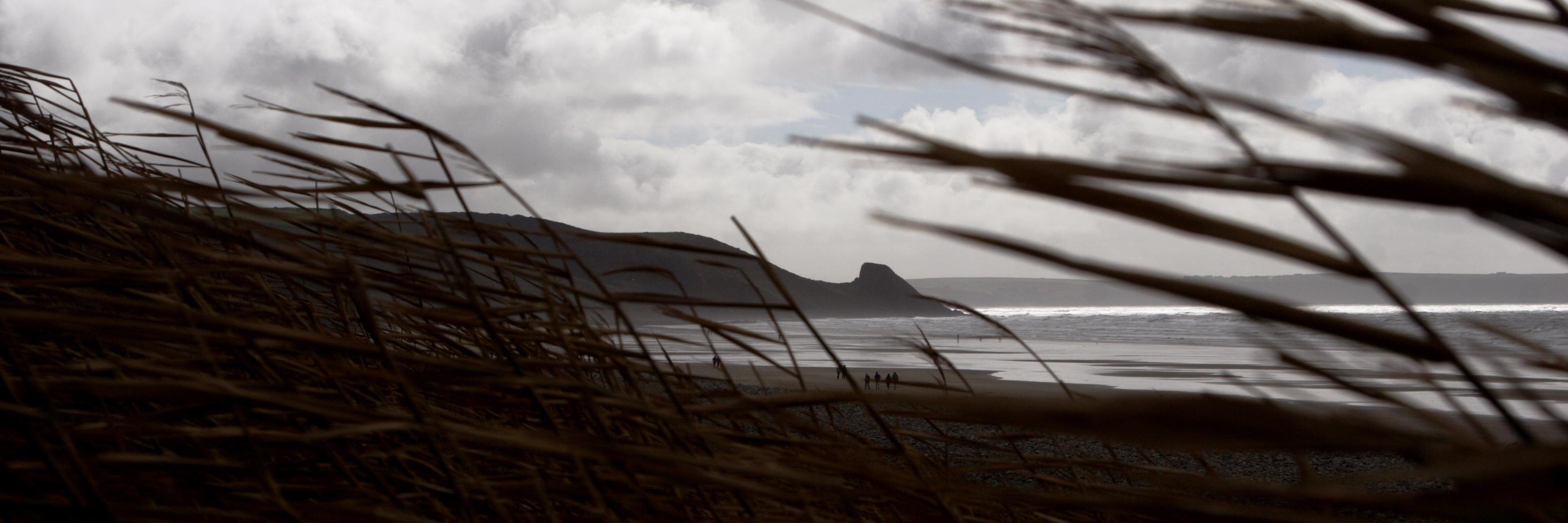 Mindful Families banner