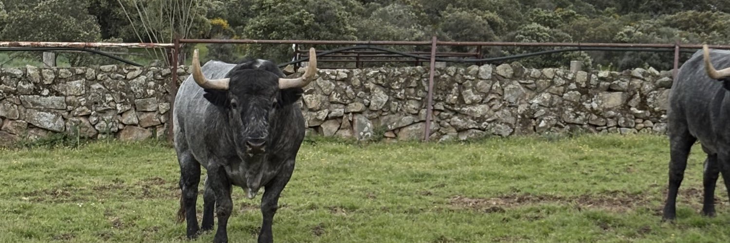 Fernando Pérez banner