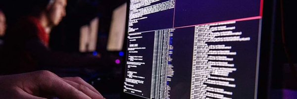 void_mane Profile Banner