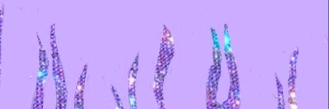 mychannelis's profile banner image