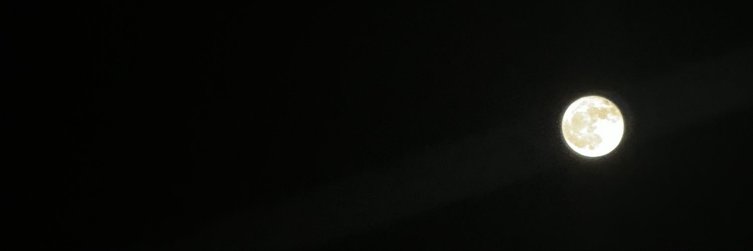 soulfude_'s profile banner image