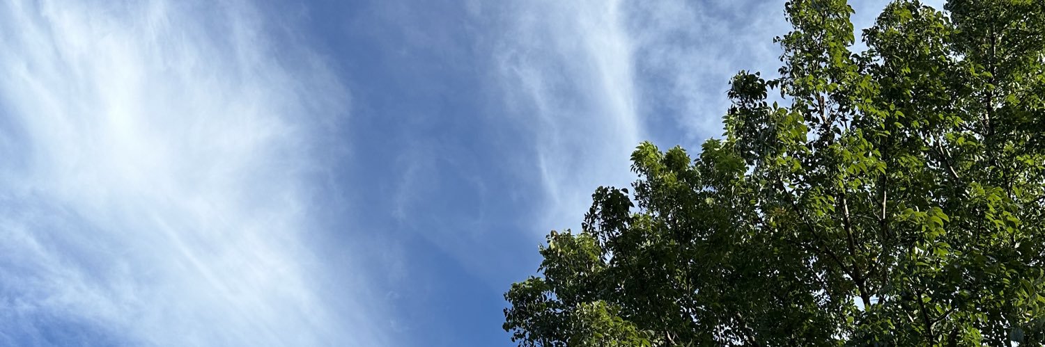 metjoyce's profile banner image