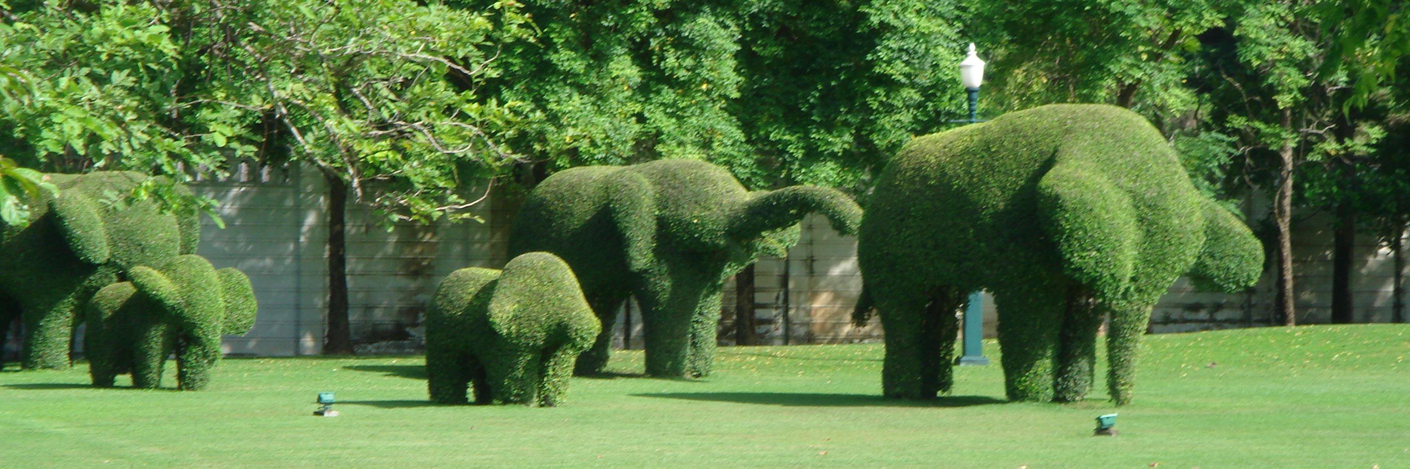 たけ@へむへむ🍊 banner