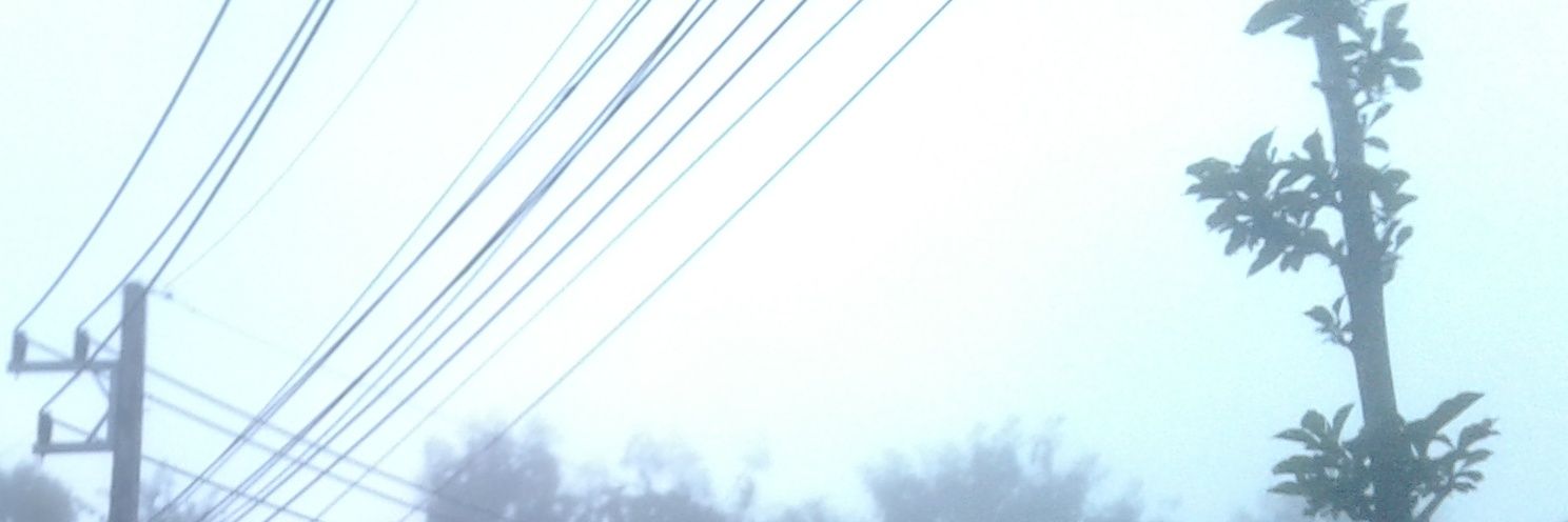ลอง banner