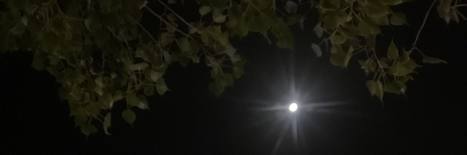 11Nane's profile banner image
