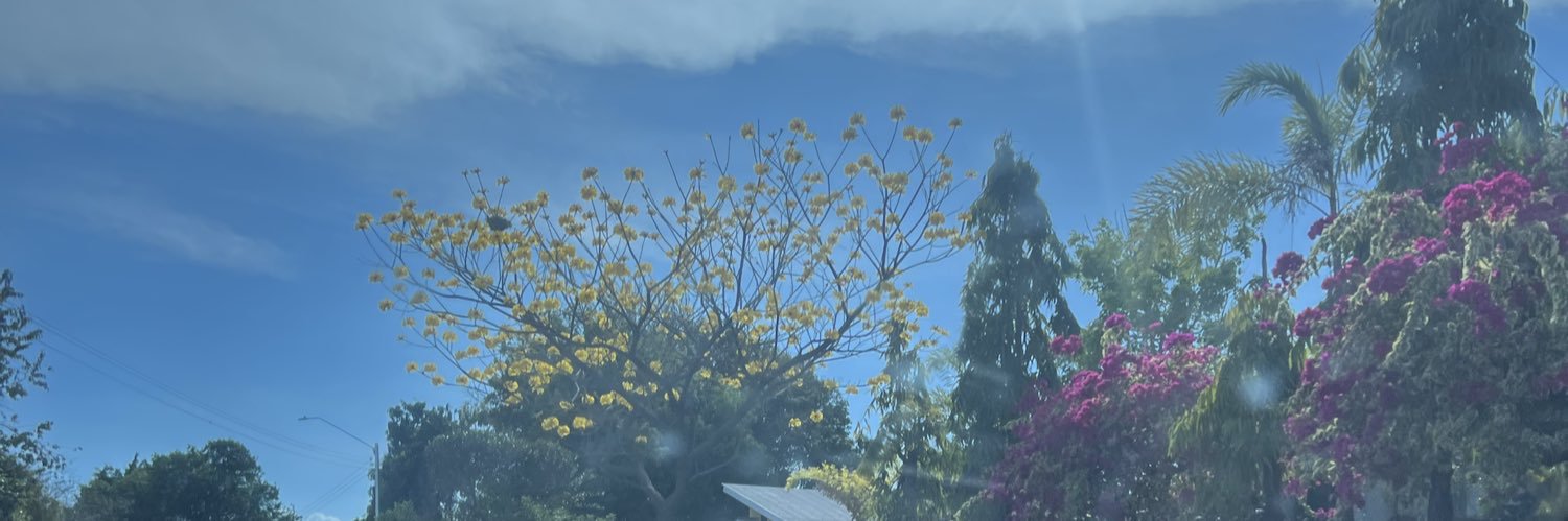 Milagros Ramos Castro banner