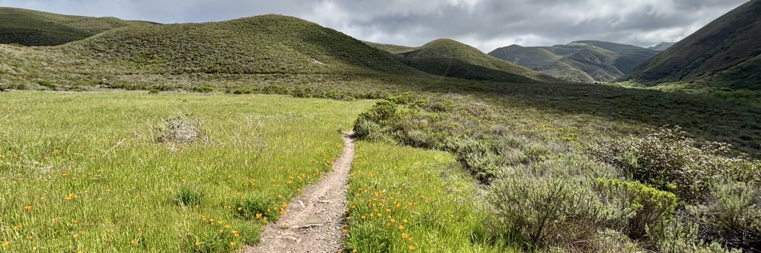 SolarEtherPunk🏄 banner