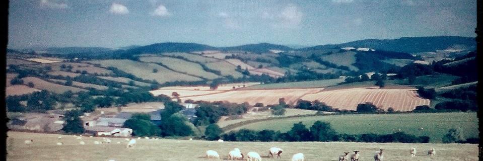 TomBright9's profile banner image