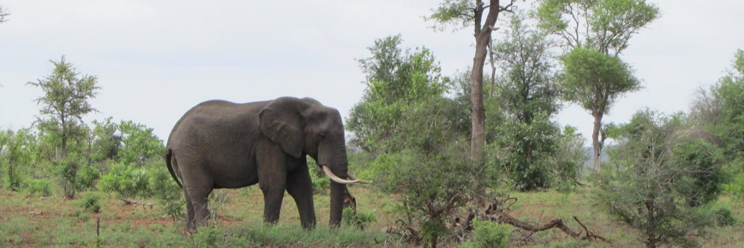 Johnell Prinsloo banner