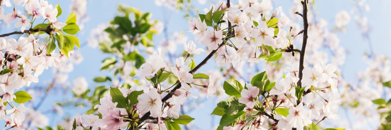 Flex Our Minds banner