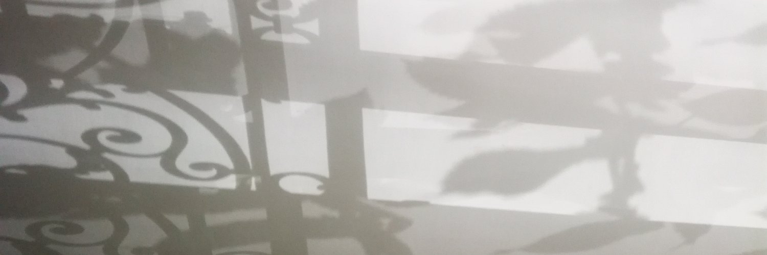 Noemí Moncunill Martí banner