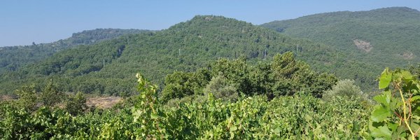 RicardoLpezPrez Profile Banner