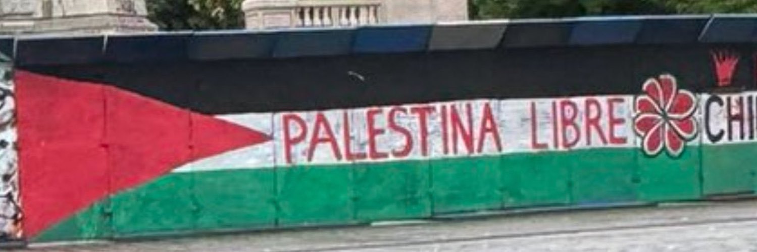 David Turner 🇵🇸 banner