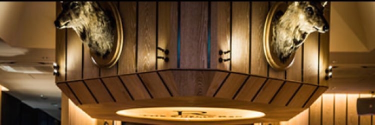 THE PUBLIC RED banner