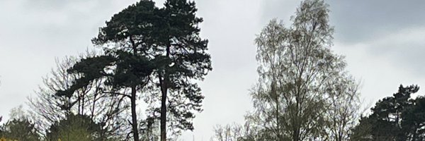 oldandoutthere Profile Banner