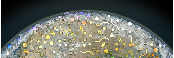 A2_Insanity Profile Banner