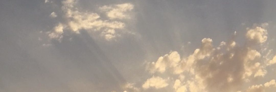 thedvci's profile banner image