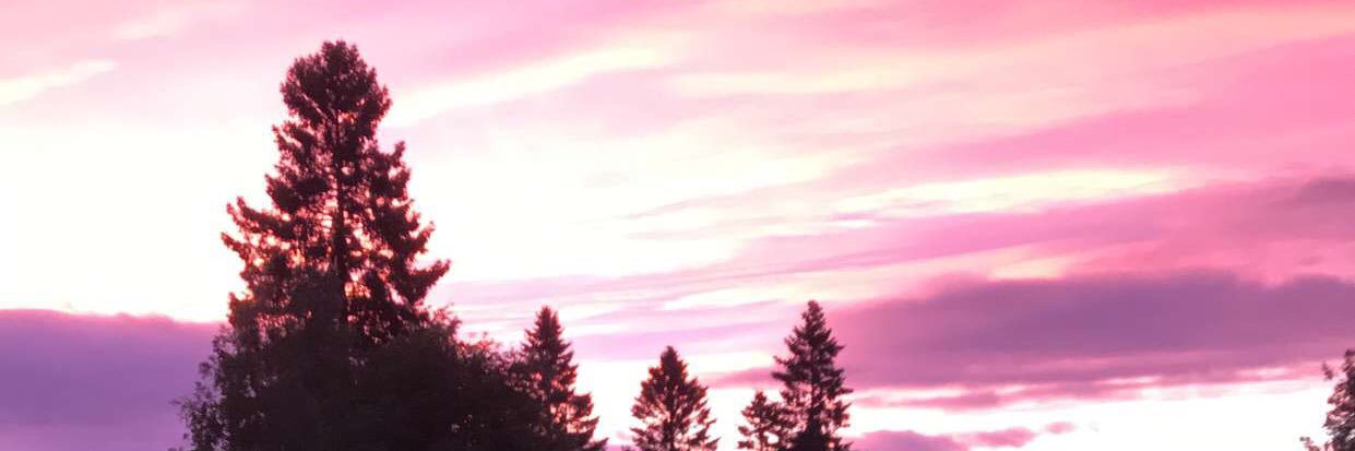 williamwellen's profile banner image