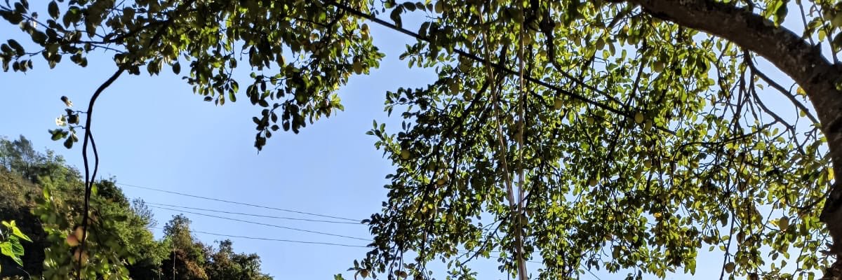 ysmn__28__'s profile banner image