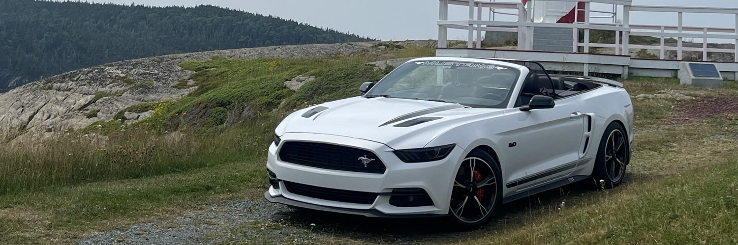 Derek G-turr 🫐🇨🇦 🖤💛🤍 banner