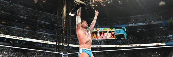 punksriptiide Profile Banner