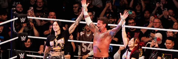 punksriptiide Profile Banner