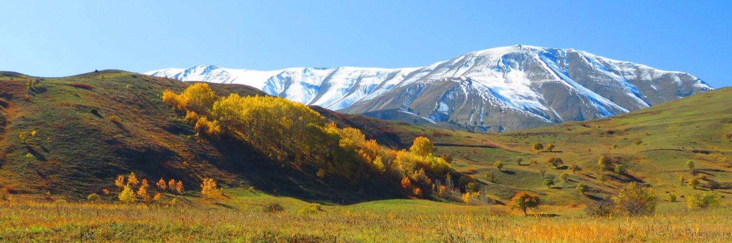 Eşref Altaş banner