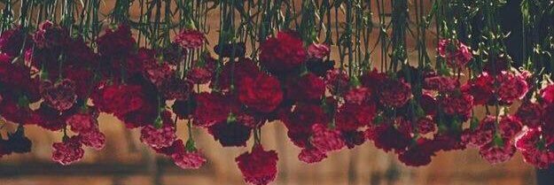 ReemMustafa97's profile banner image