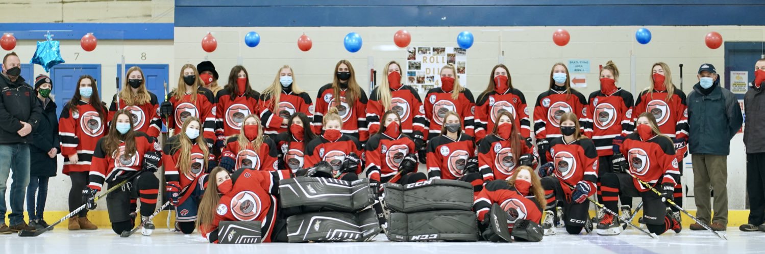 LID Girls Hockey banner