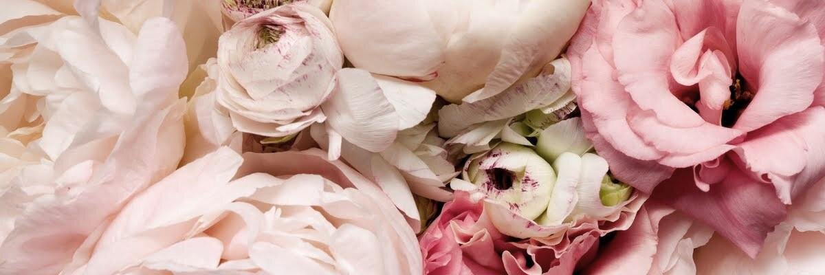 DanielleMori's profile banner image