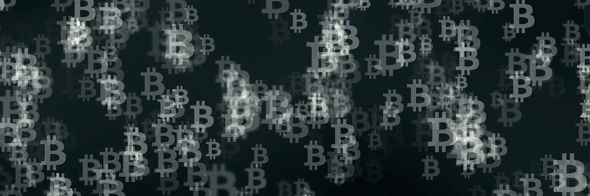 CryptoCriterion banner