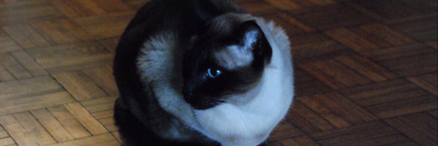 poeysara's profile banner image