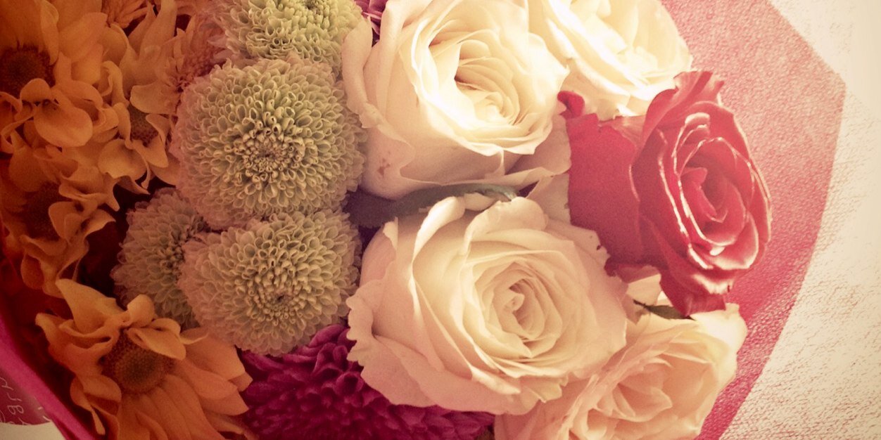 ginasoniania's profile banner image