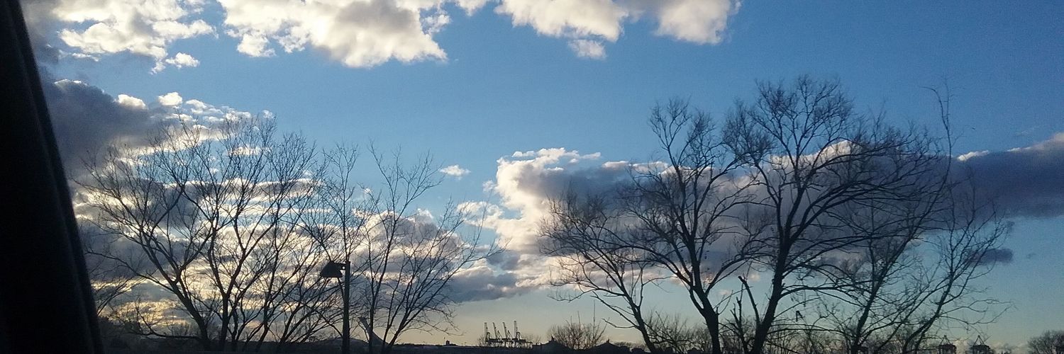 DIOUARA Malick banner