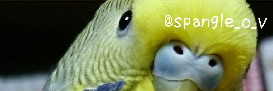 spangle_o_v's profile banner image