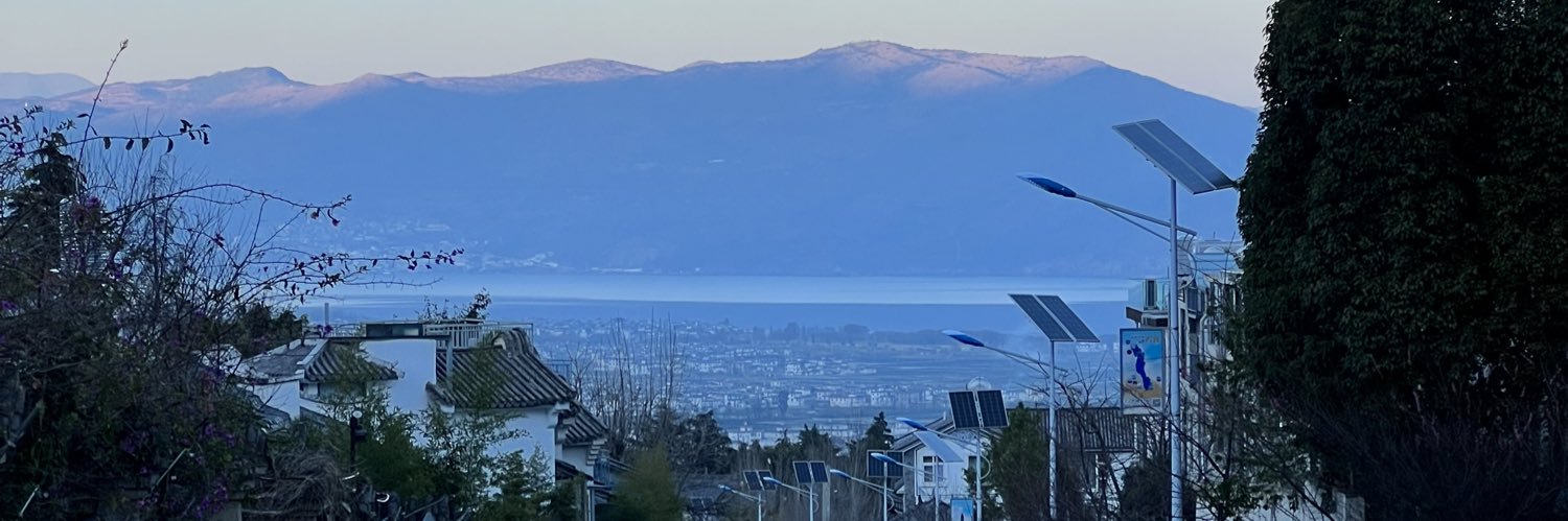 thisischaniece banner