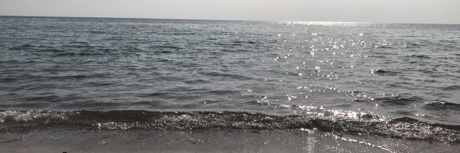 tossunpassa's profile banner image
