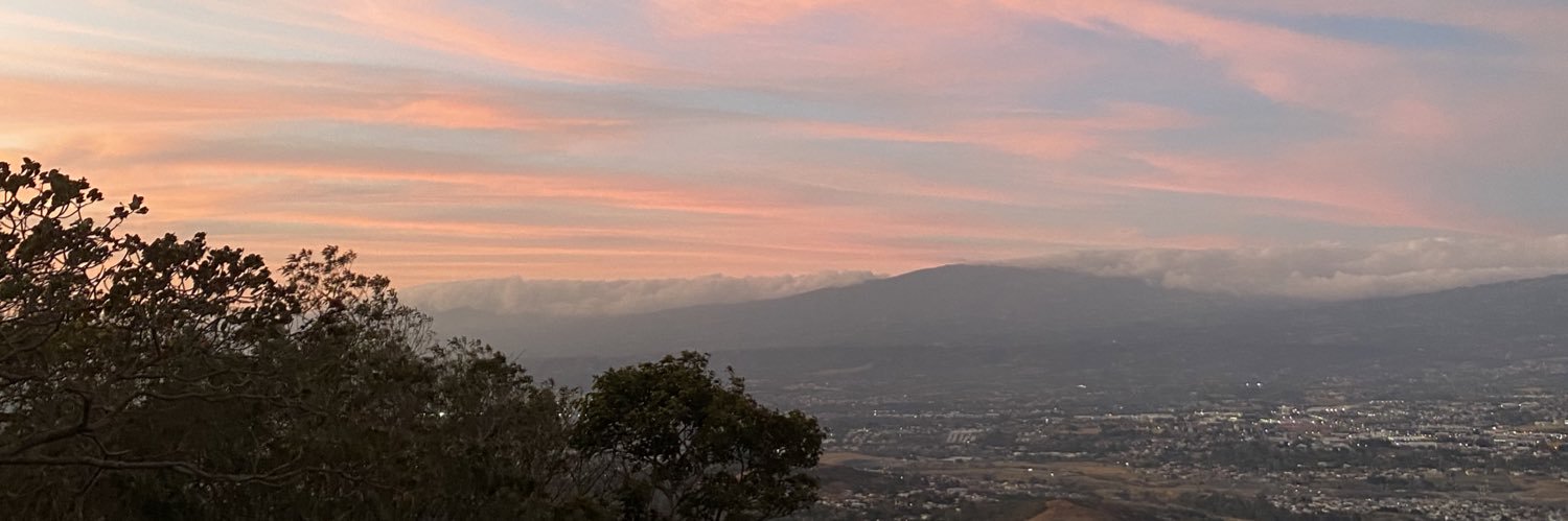 fallamo21's profile banner image
